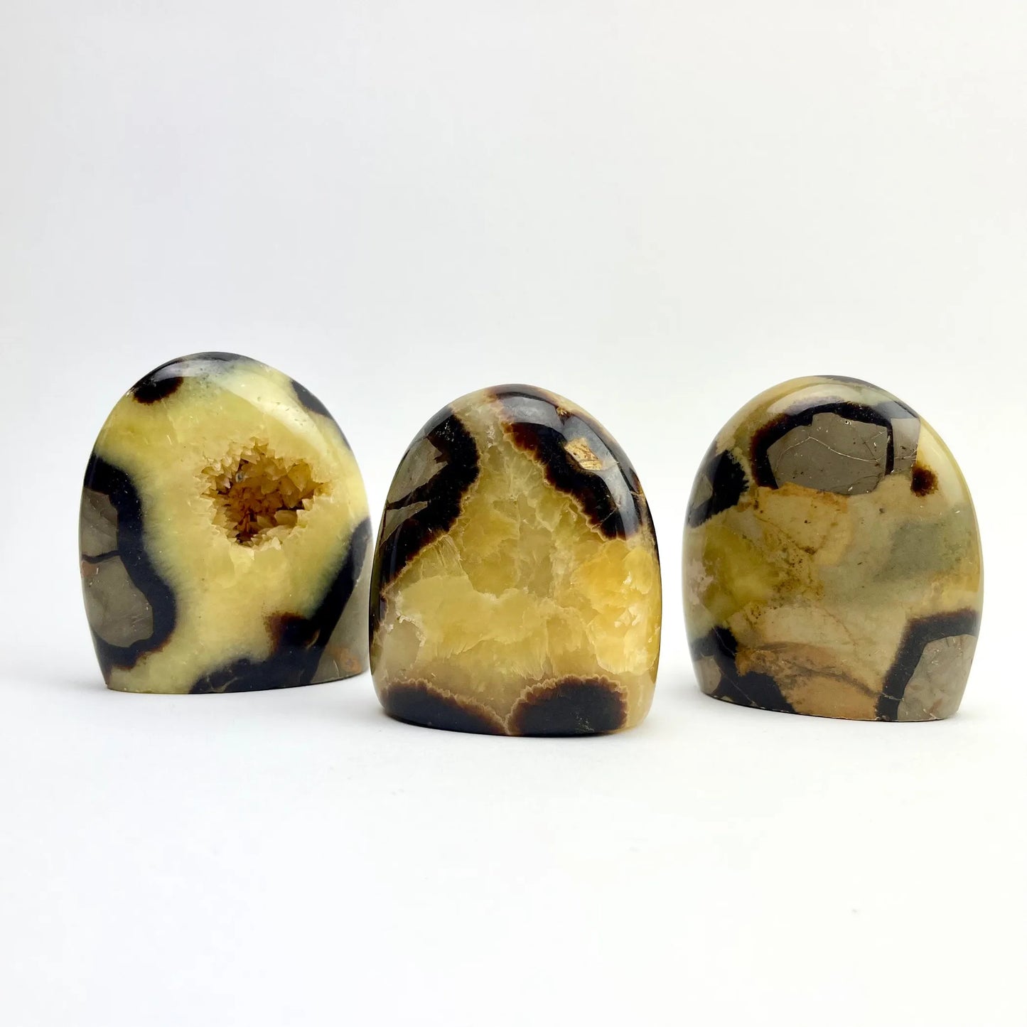 Septarian "Dragon Stone" | Freeform Statue | Choose Size | Madagascar