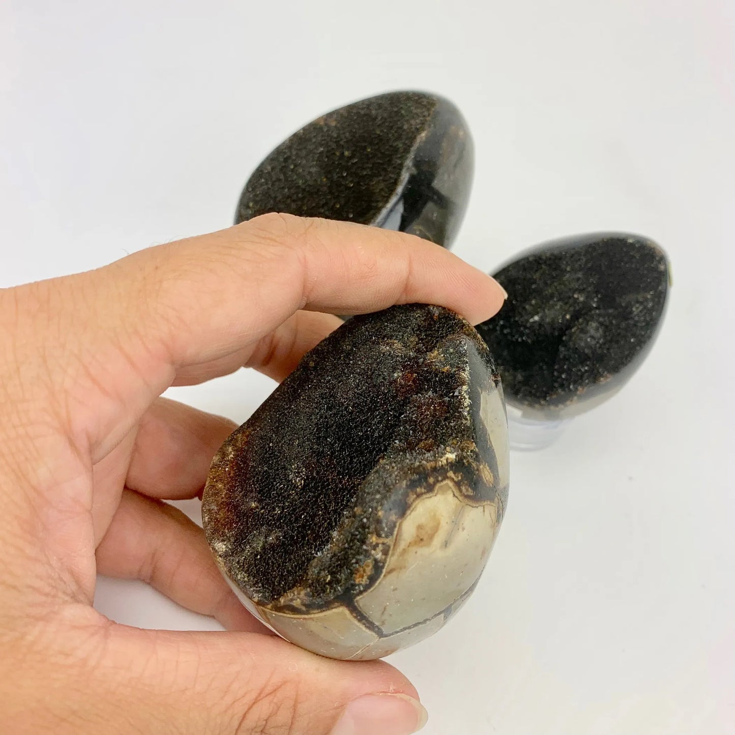 Septarian "Dragon Egg" | Madagascar