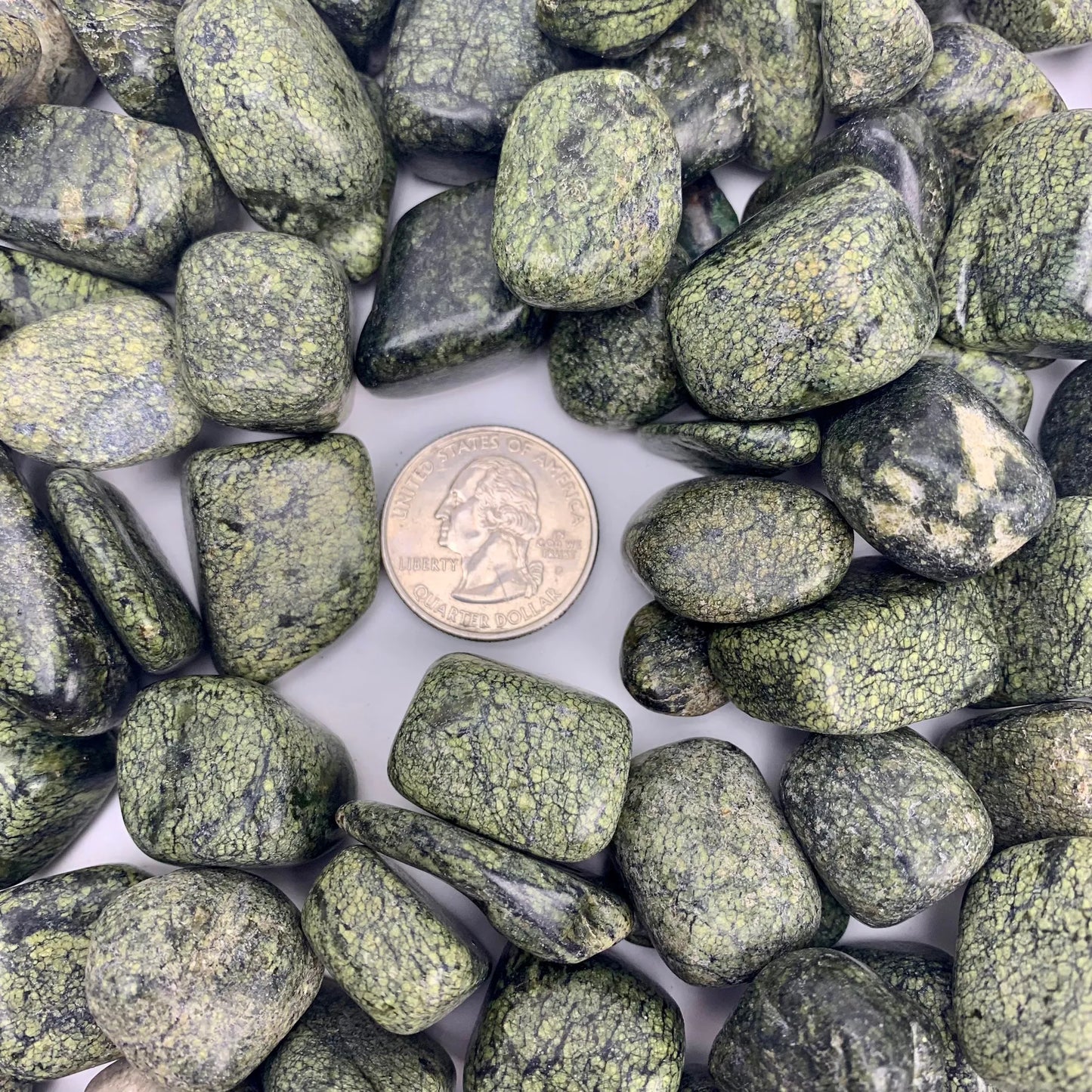 Green Lace Agate | Tumbled | Kilo Lot | 10-20mm