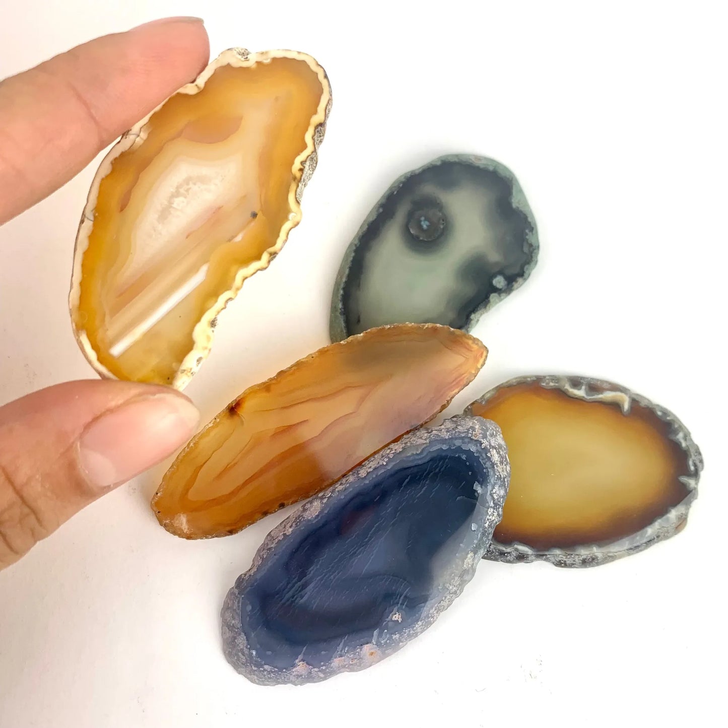 *Agate Slice | 50-60mm | Brazil