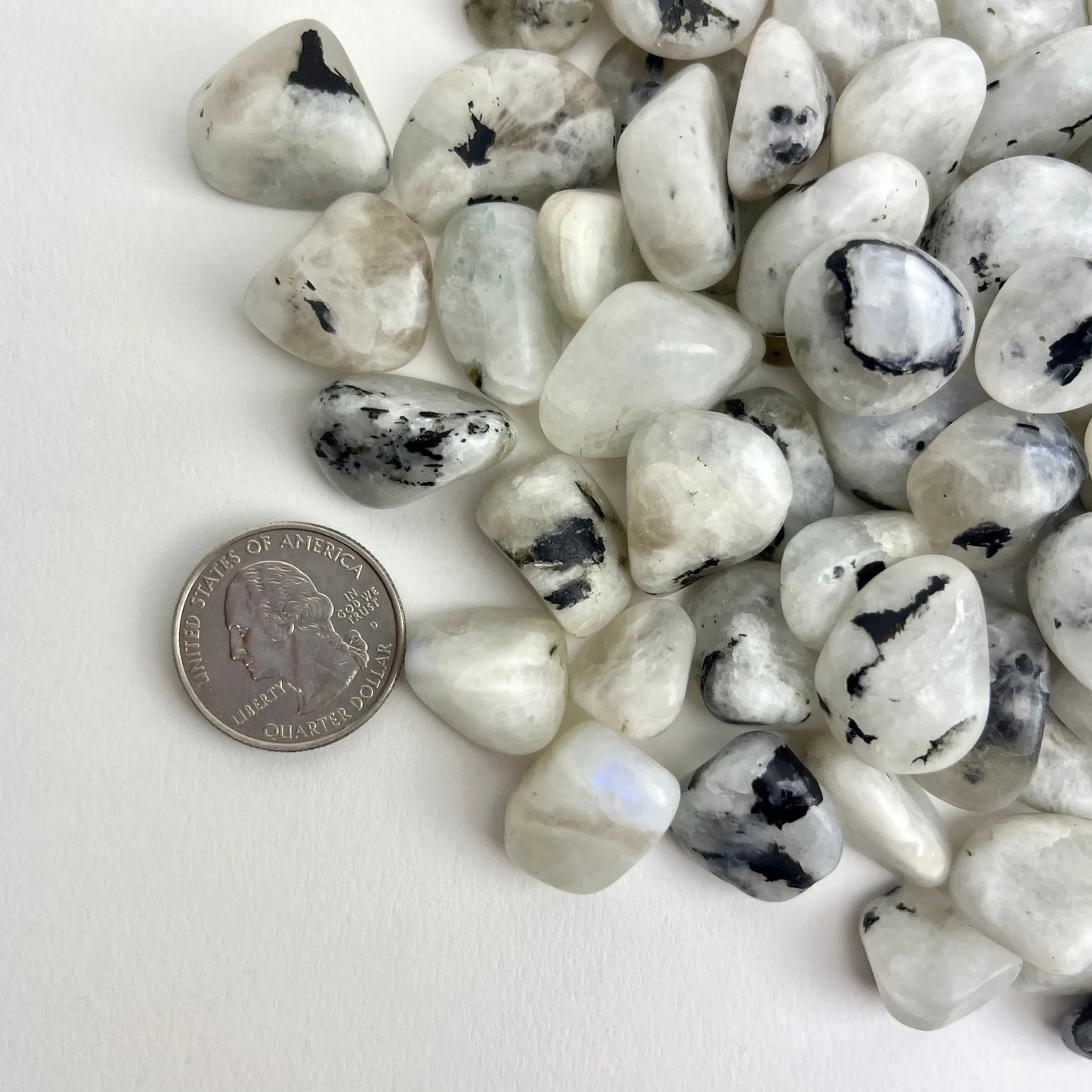 Rainbow Moonstone | Tumbled | 15-25mm | 1lb | India