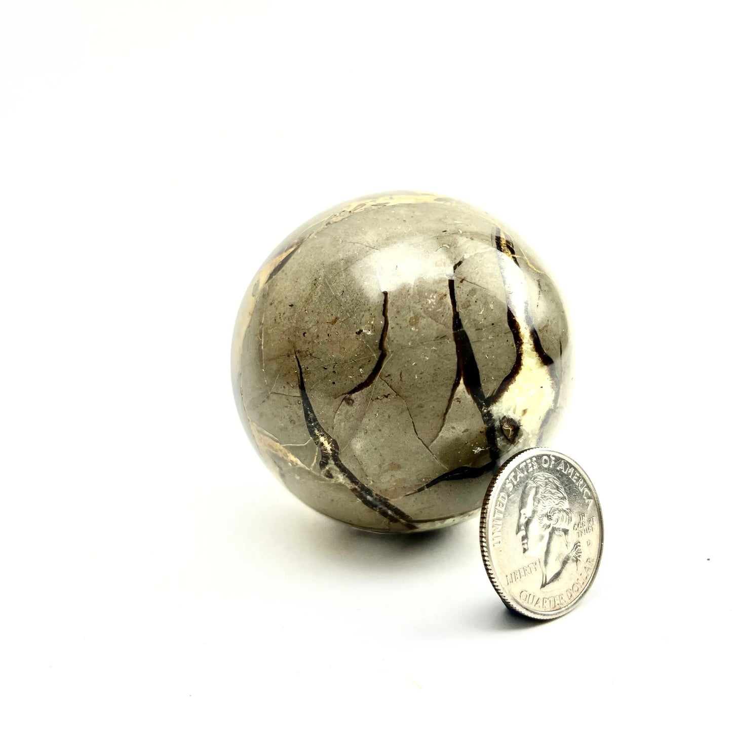 Septarian "Dragon Stone" Sphere | 2-3" | Madagascar