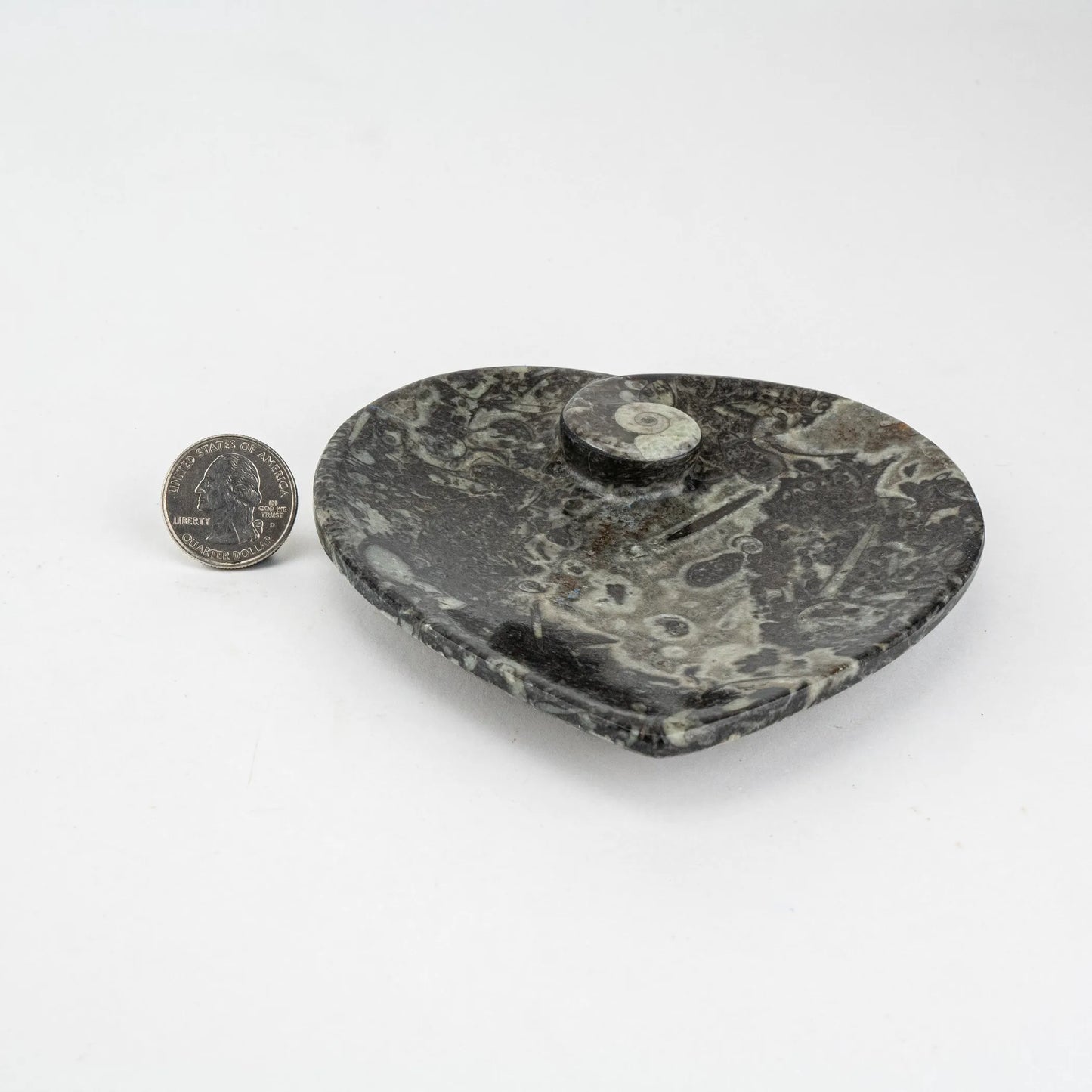 Fossil Heart Dish | 100mm | Morocco