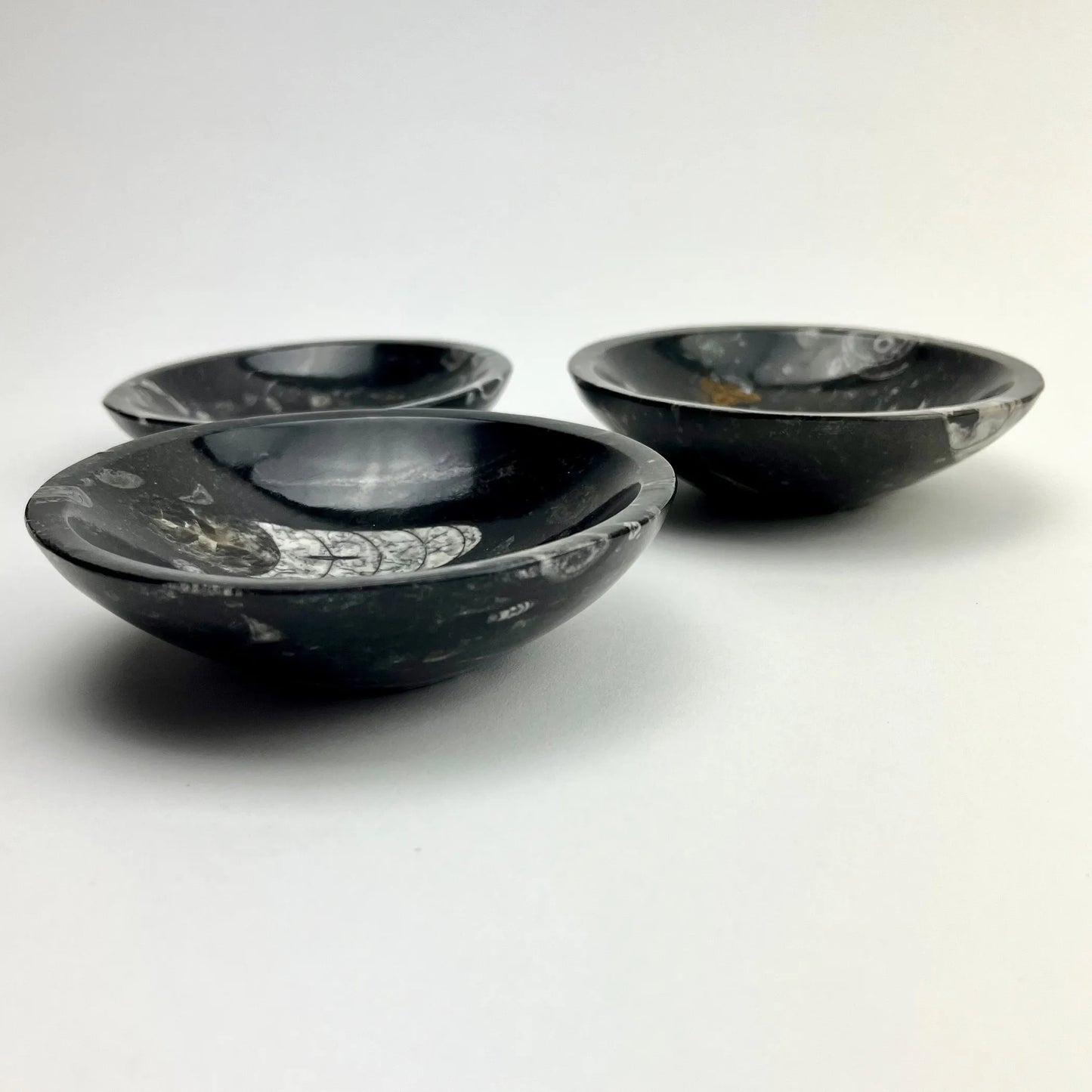 Orthoceras Fossil Bowl | Morocco | 120mm