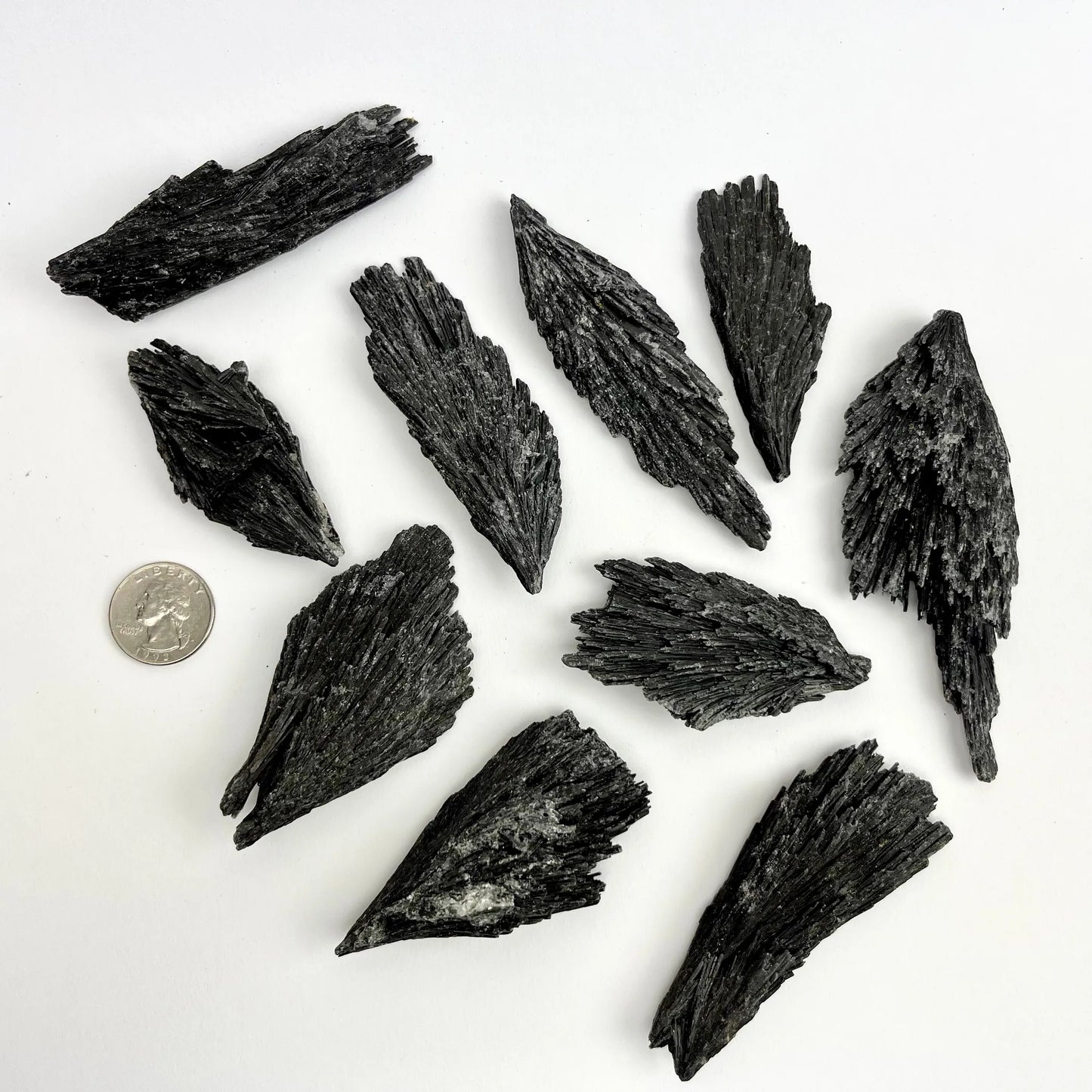 Black Kyanite | Fans | 55-100mm | Brazil