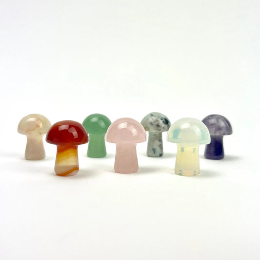 Mini Magic Mushrooms | 20mm
